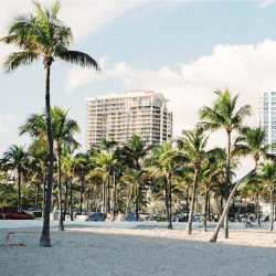 Miami - Miami